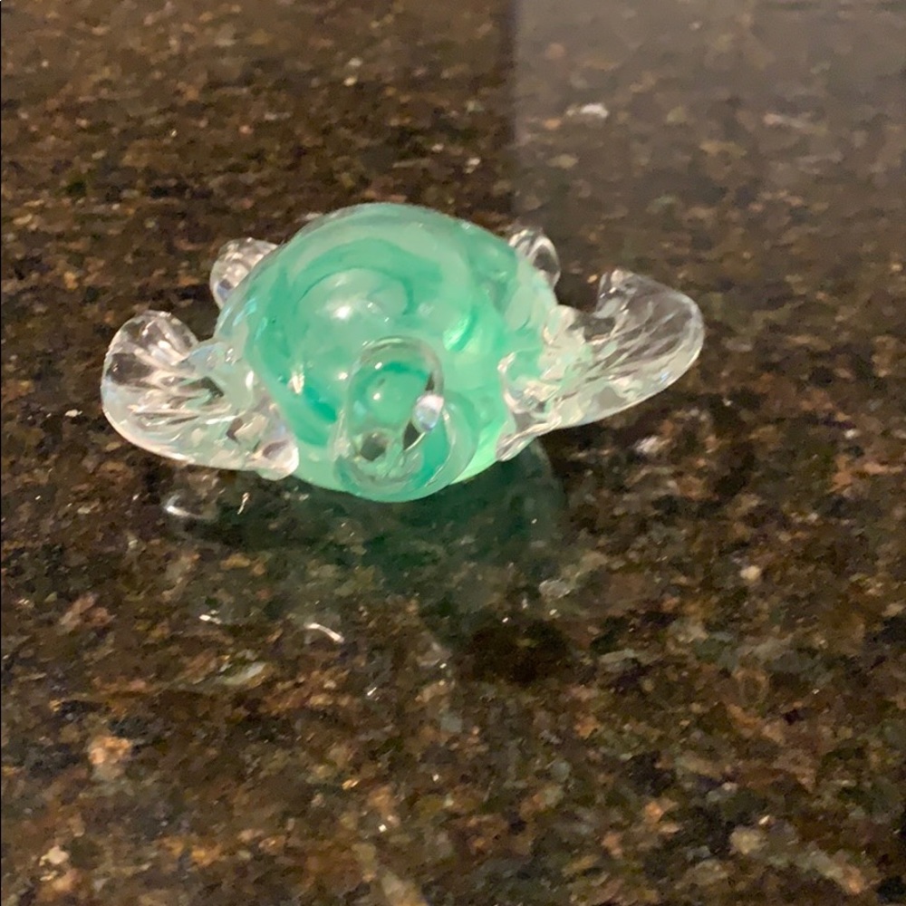 Glass Turtle